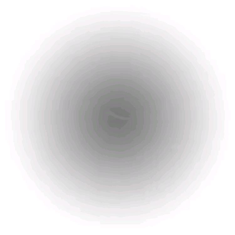 出生在粤N的靓仔