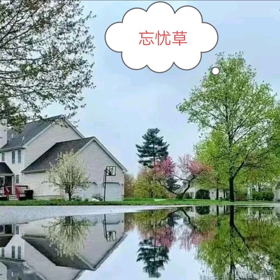 ☞知足常乐☜