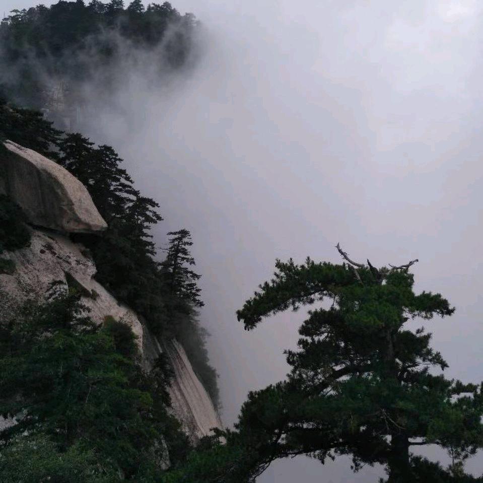 幻麟