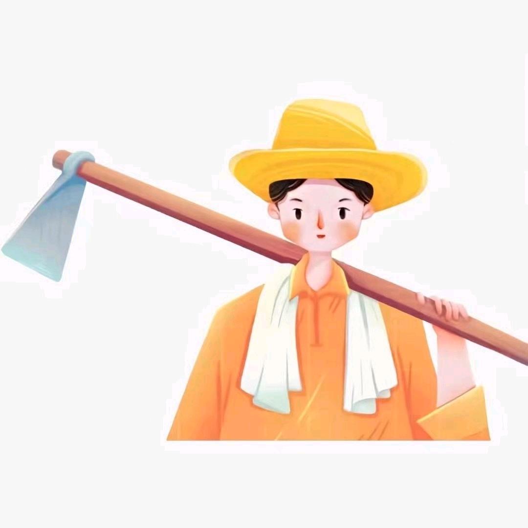乐晨 （农业合作社）