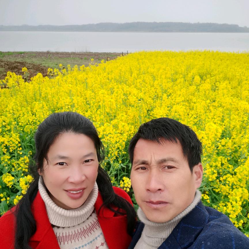 随遇而安