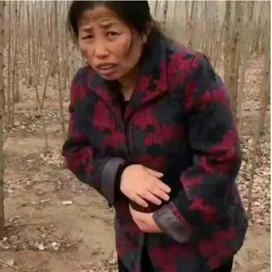 九命猫～男女神争霸赛😻
