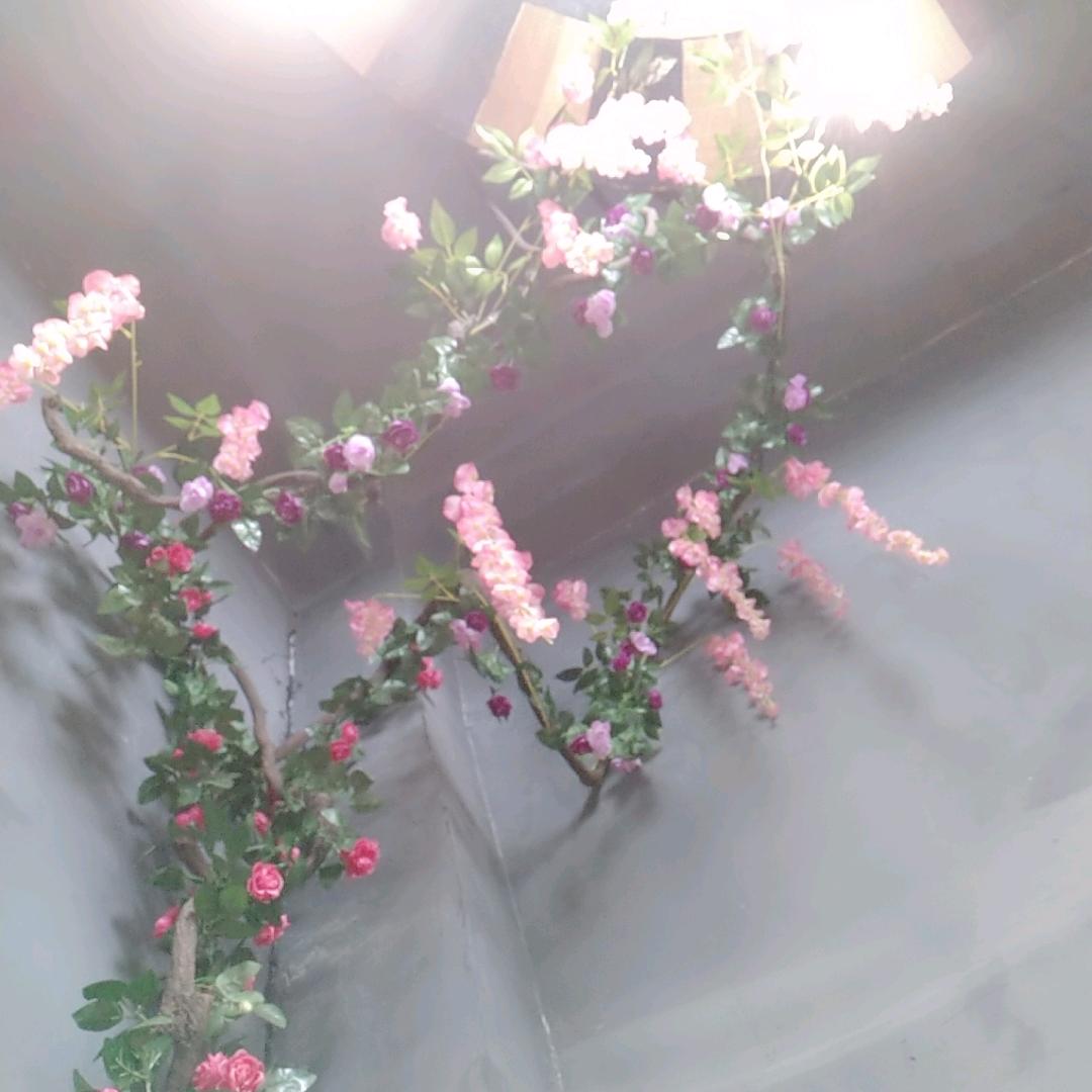 🌻秦劳🍊致富💰࿐