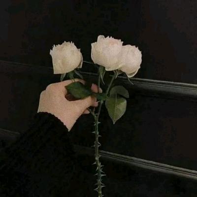 张家小姐姐