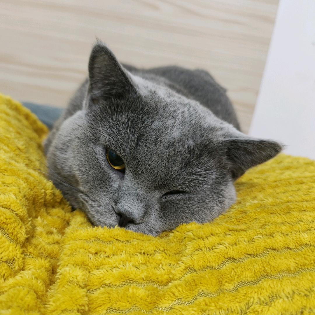 给你个龙卷风