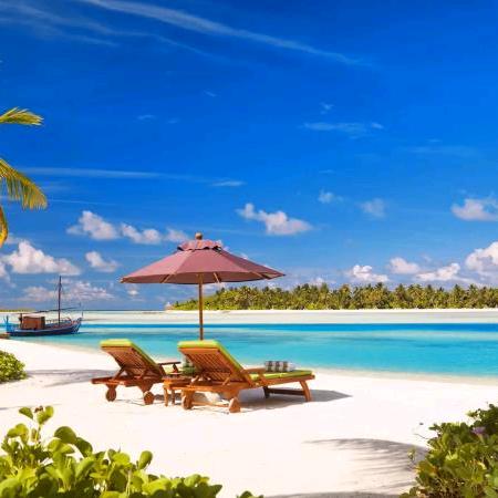 夏天的雪人 一切皆可能