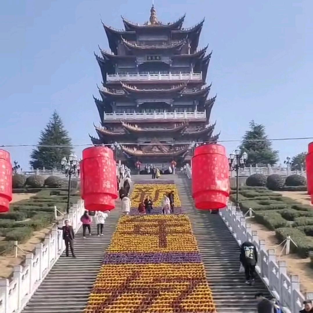 我的未来在前方