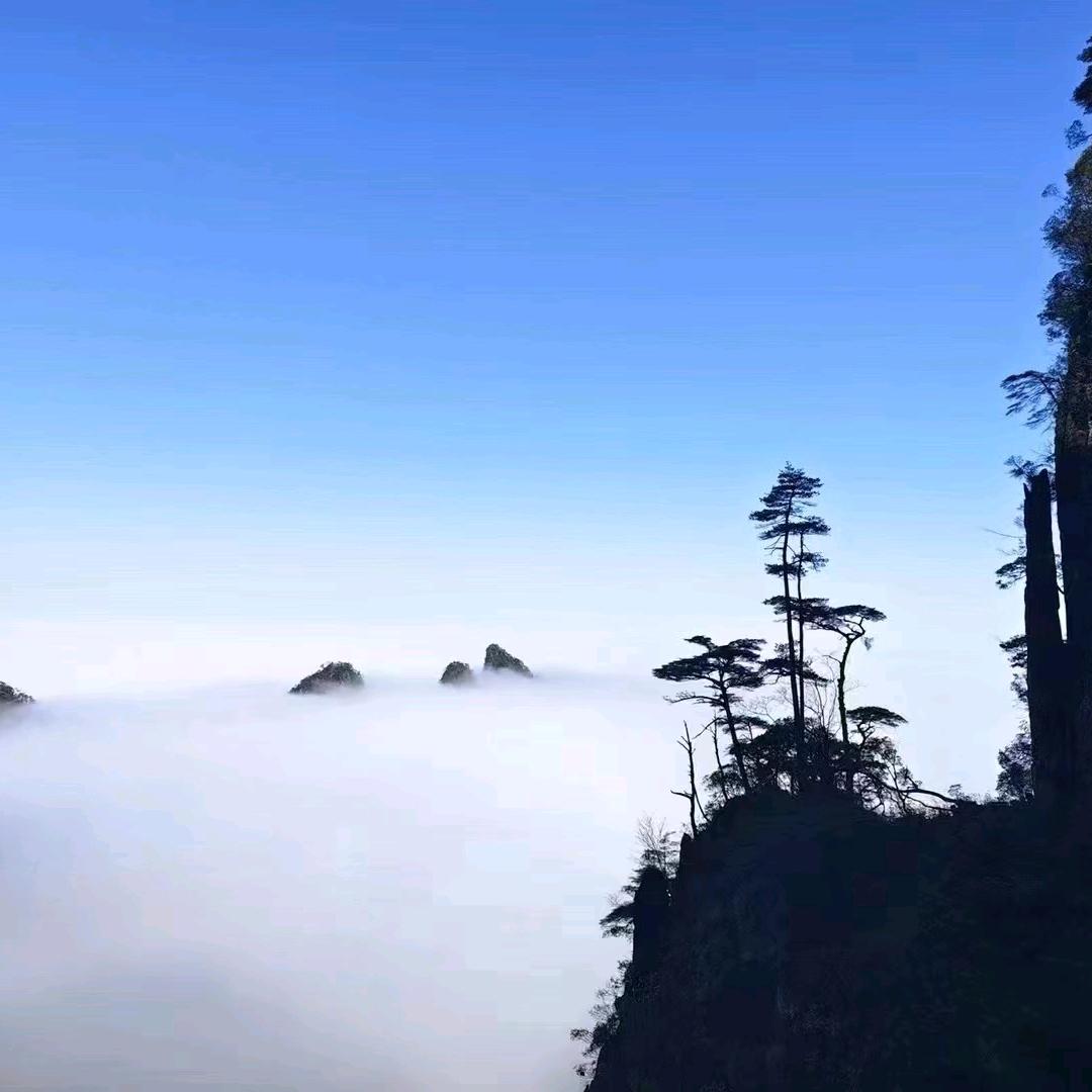 云游
