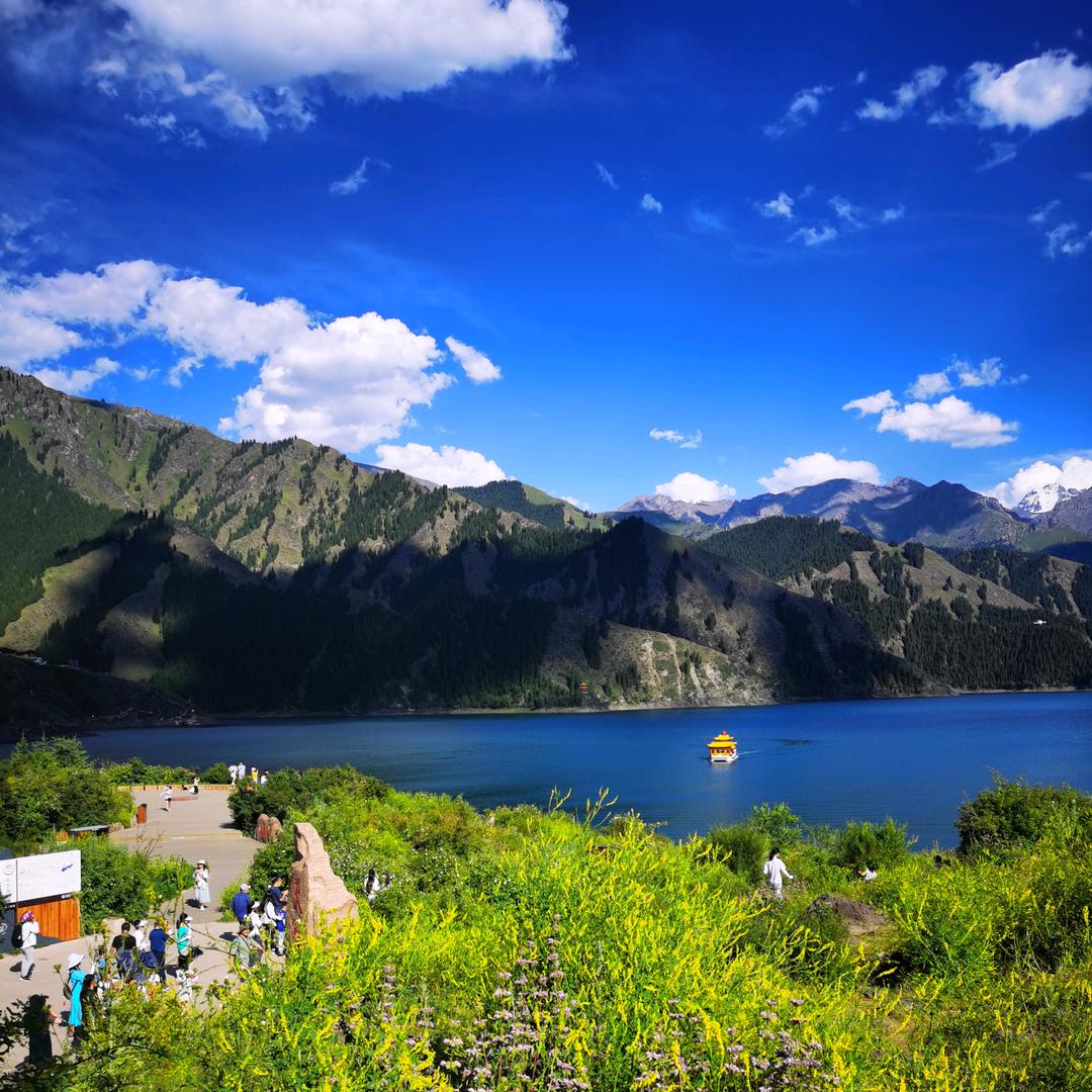 疆二哥，韩嘉濠