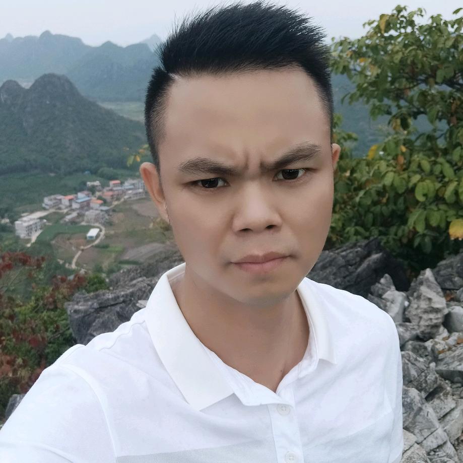 小舅子（贵港牡丹花仿石漆）