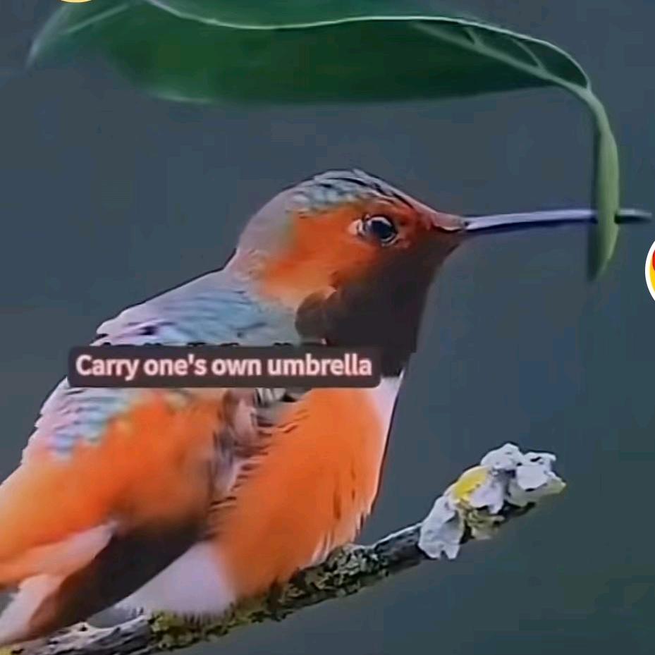 美丽人生☞🌾