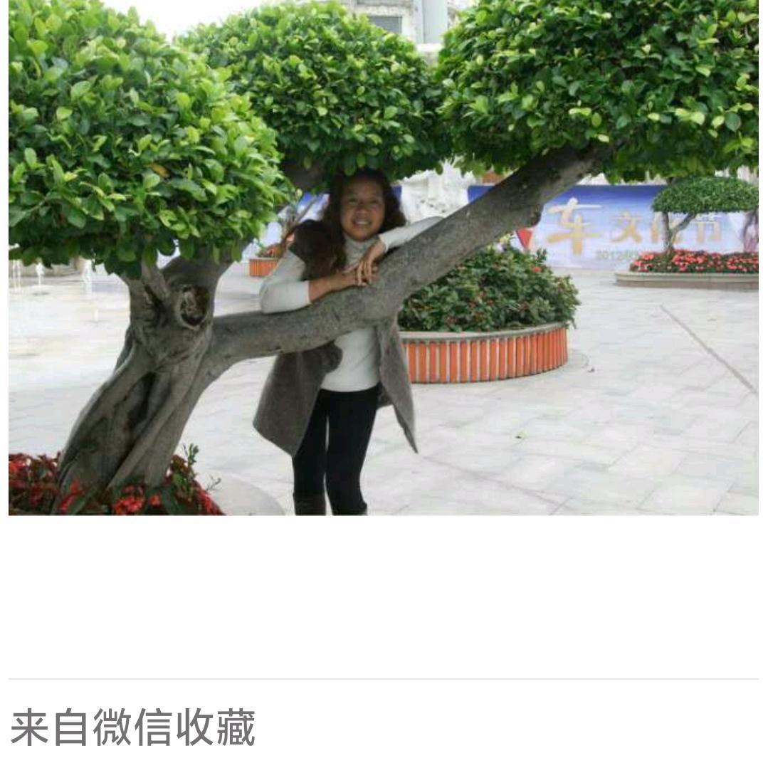 湖北姑娘广东媳妇