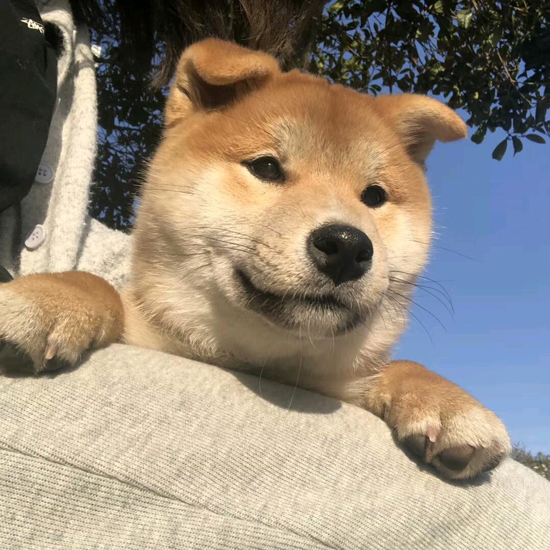 大森林