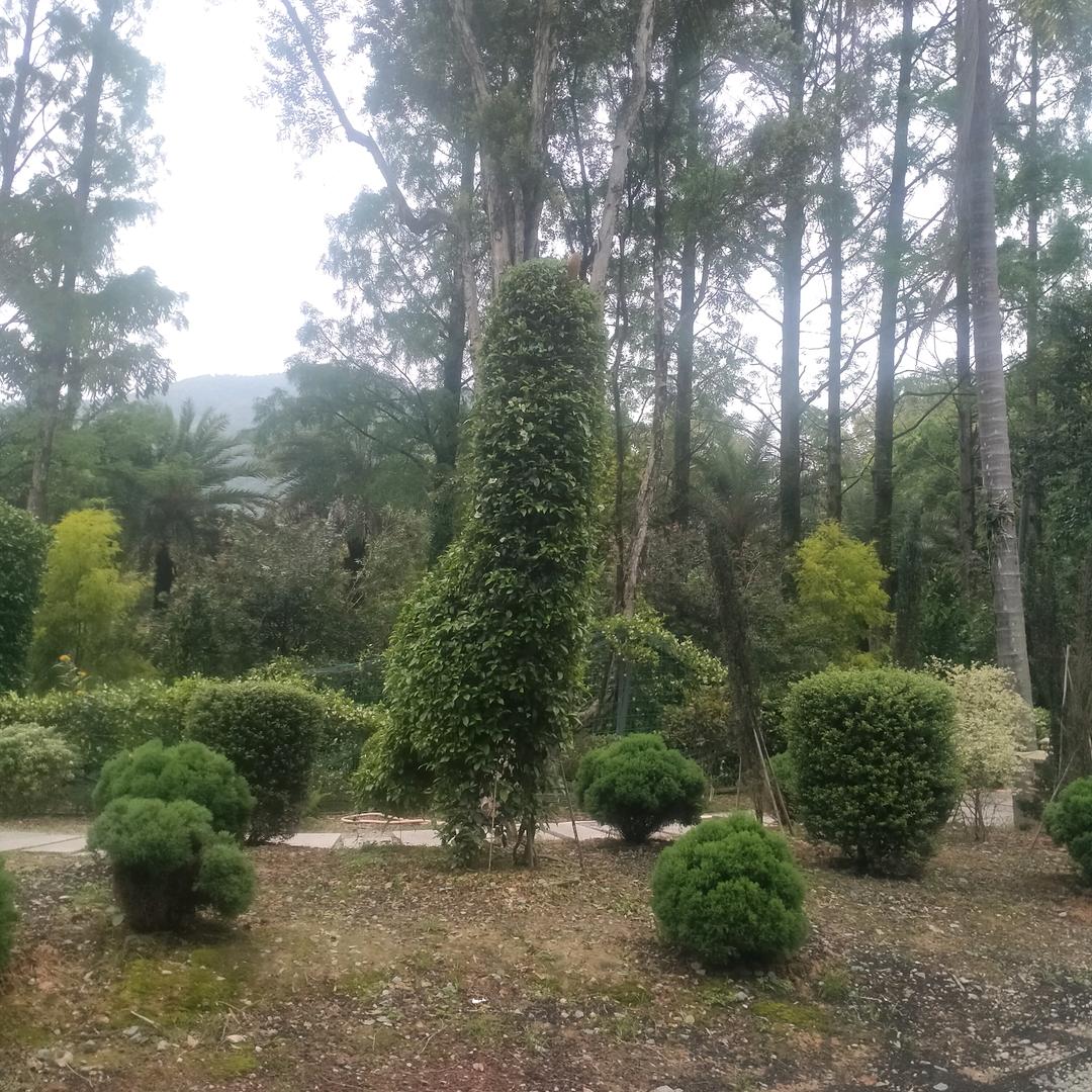 完美世界，谁会珍惜