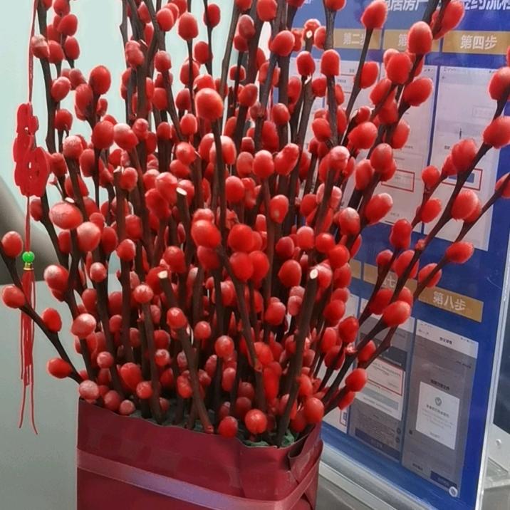 吕婷