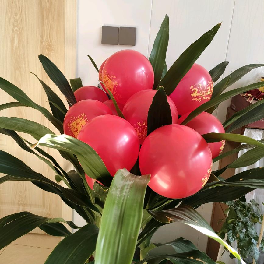 热爱让你成为自己