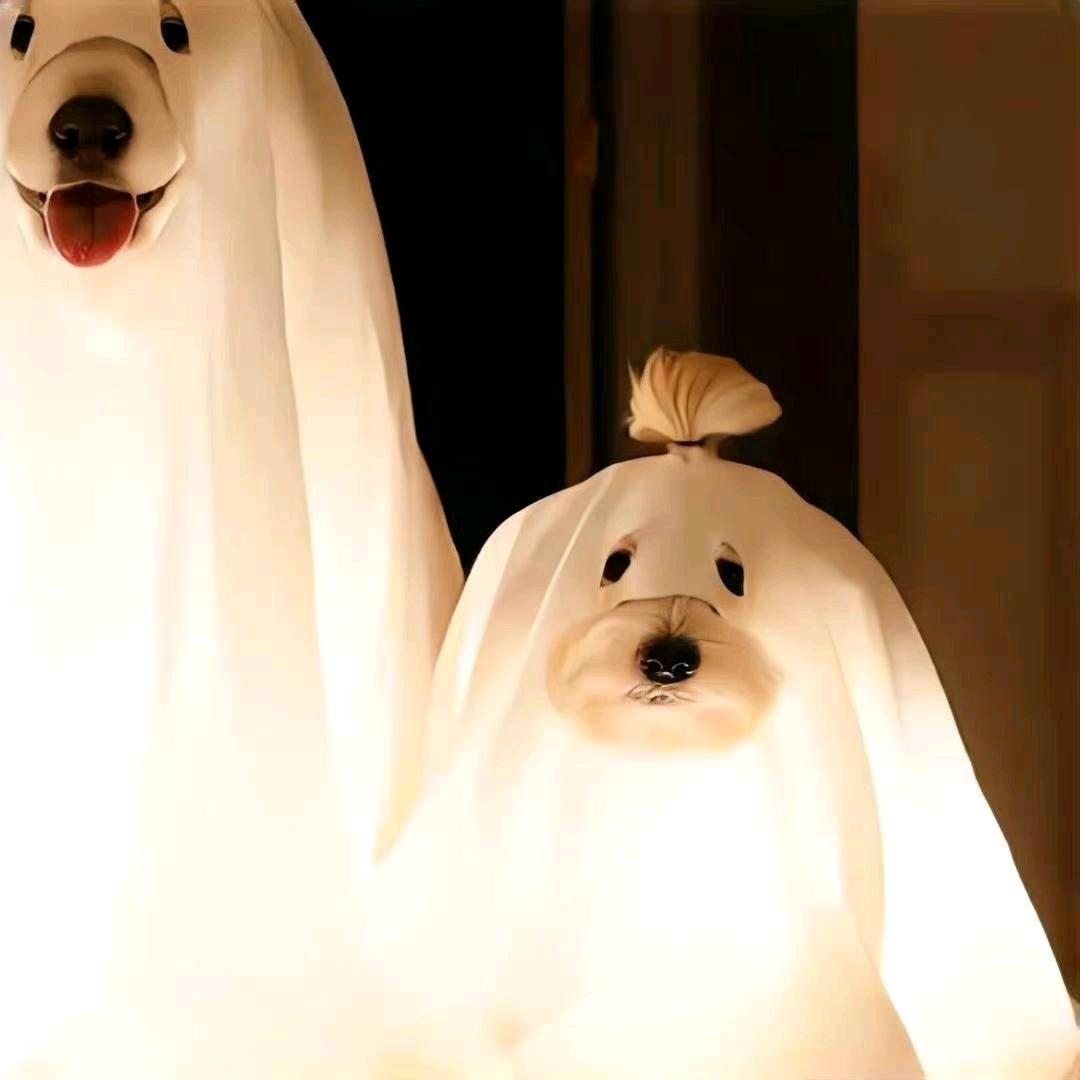 AAAA-128传媒盛姐