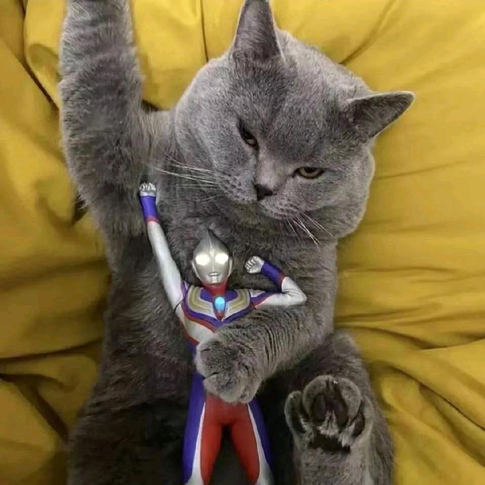 。。、