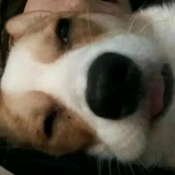 嗨，你好哇塞！