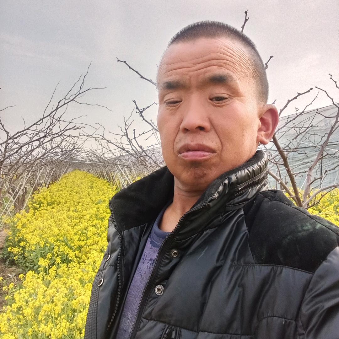 （社會你民哥）