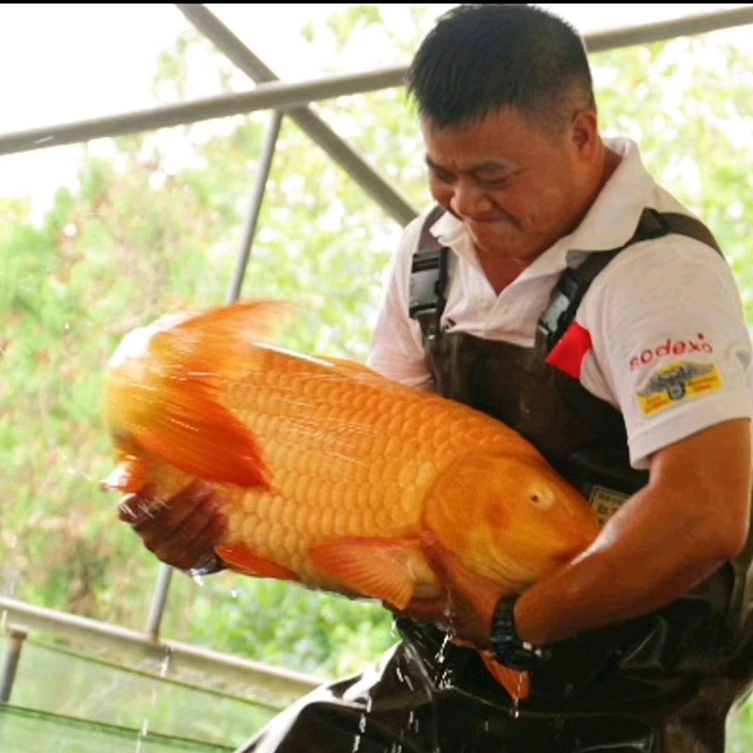 洋洋爱生活