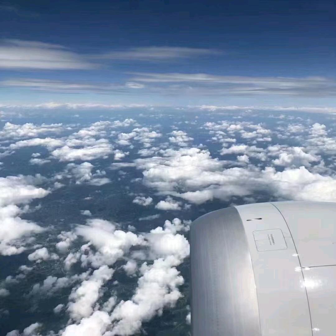 霞霞