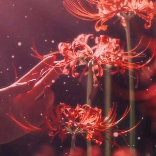 张口说（忘你）