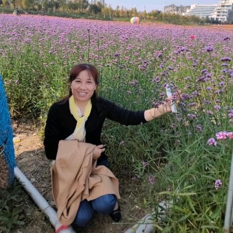 flower快乐一生，