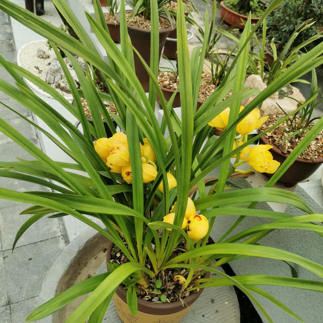 我的抖音名字是不是有点长