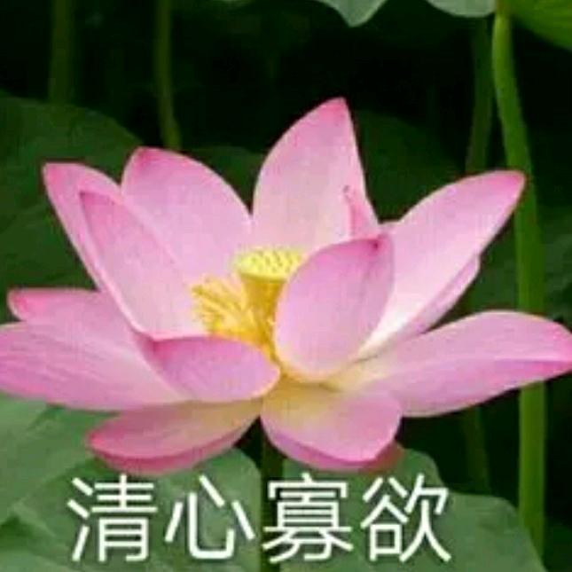 玉石