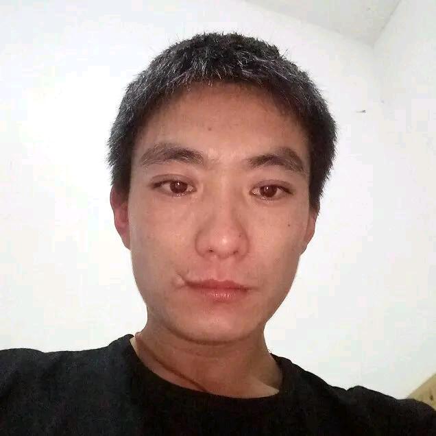 不爱吃蜂蜜的熊二