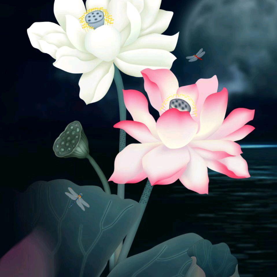 忘不掉