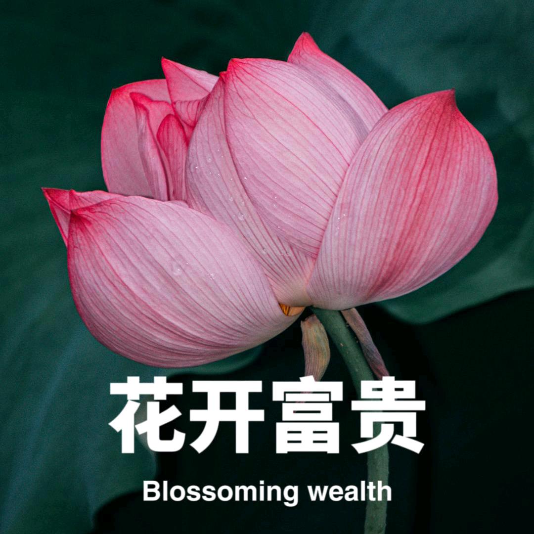 辰奶奶