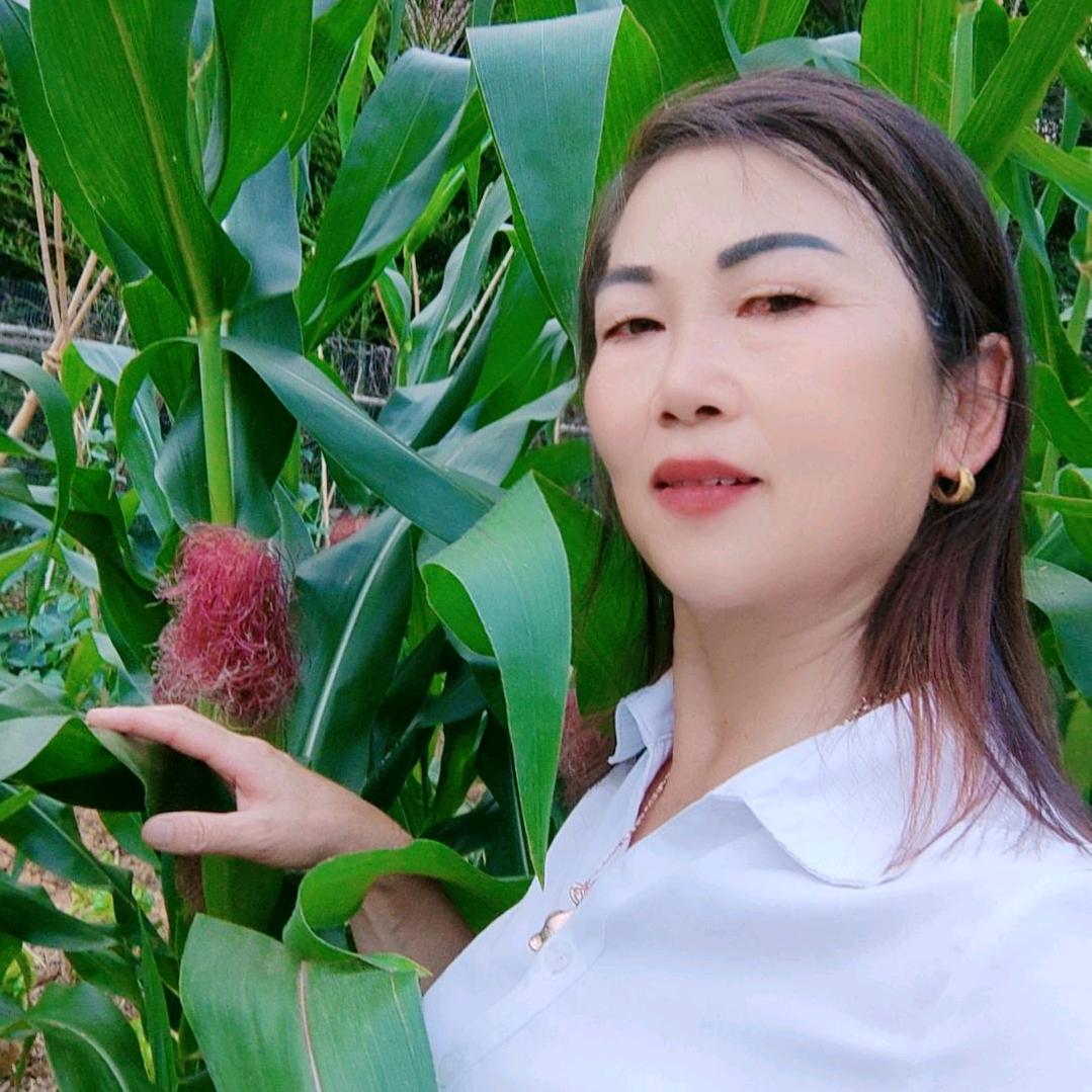 好运连连🐭🍎🙏