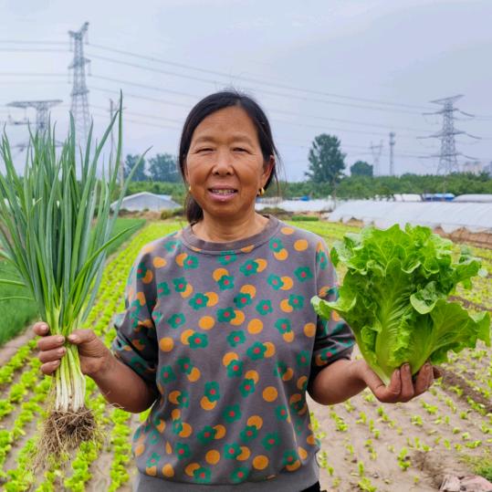 生菜杨姐(1月6号春耕种子大促)@抖音