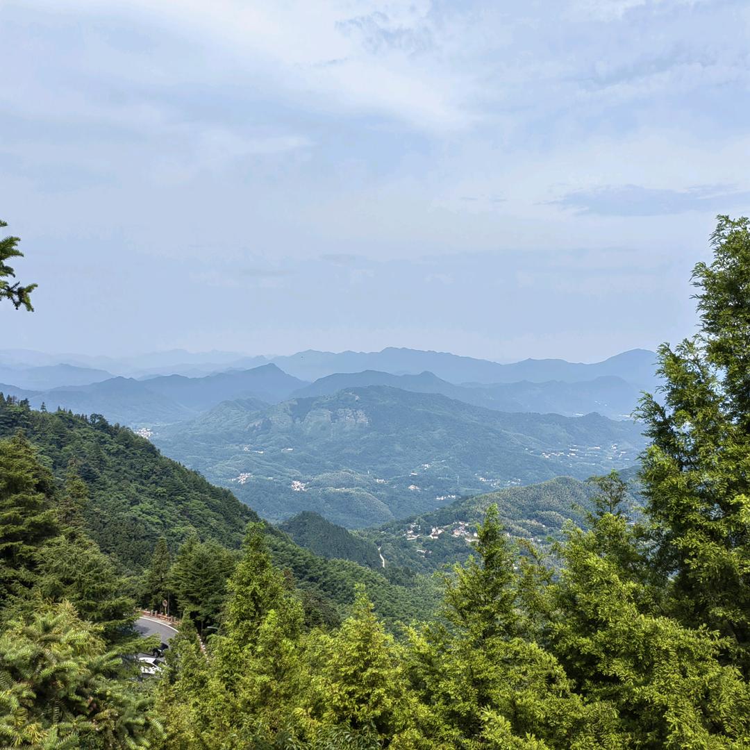 一生所爱