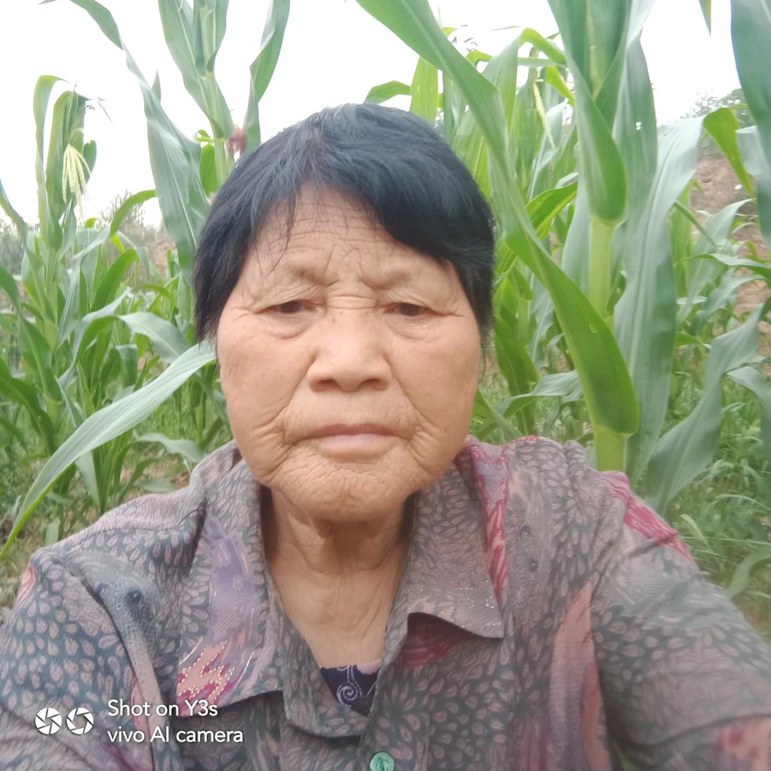 張美旦