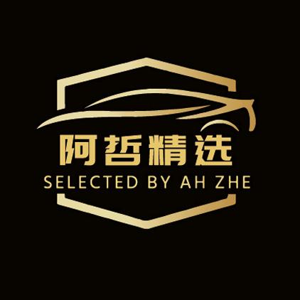 阿哲说说车