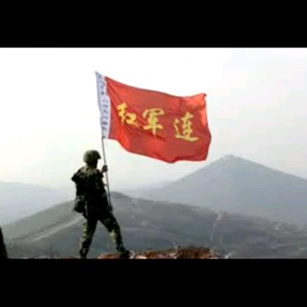 根仔