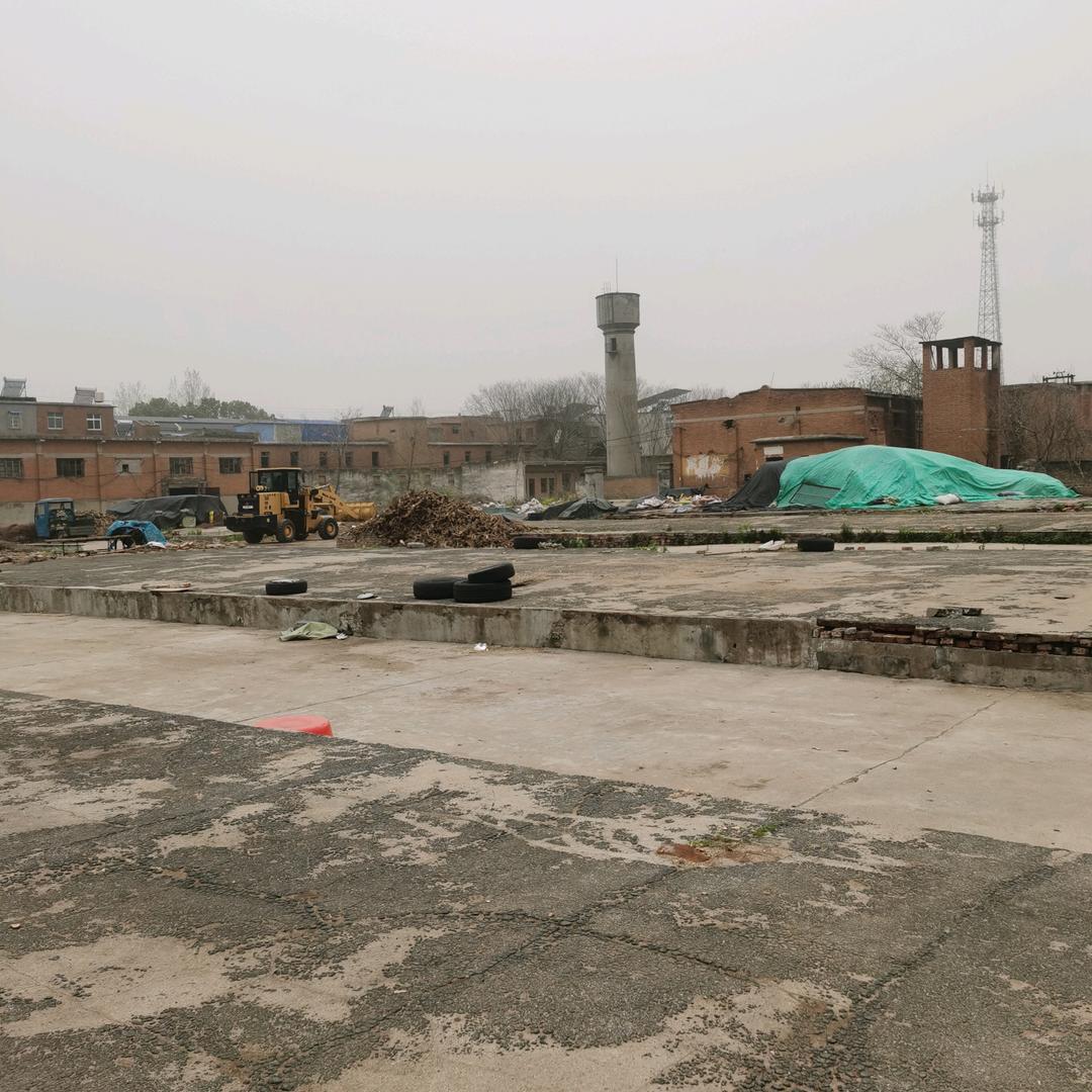 河南乐淘堂生物科技有限公司