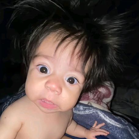 买一坨屎送给总爱开玩笑的你