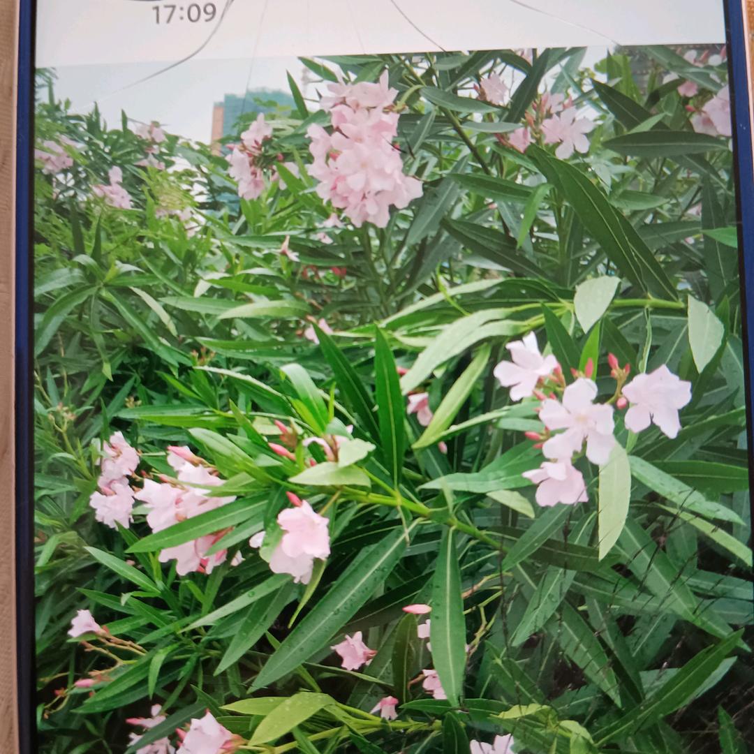 工地姐姐谢谢关注