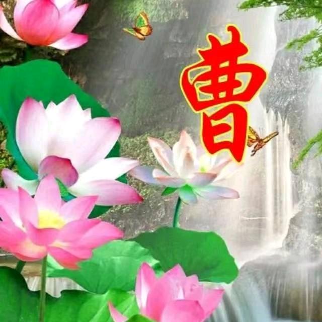 泪撒红尘曹二哥