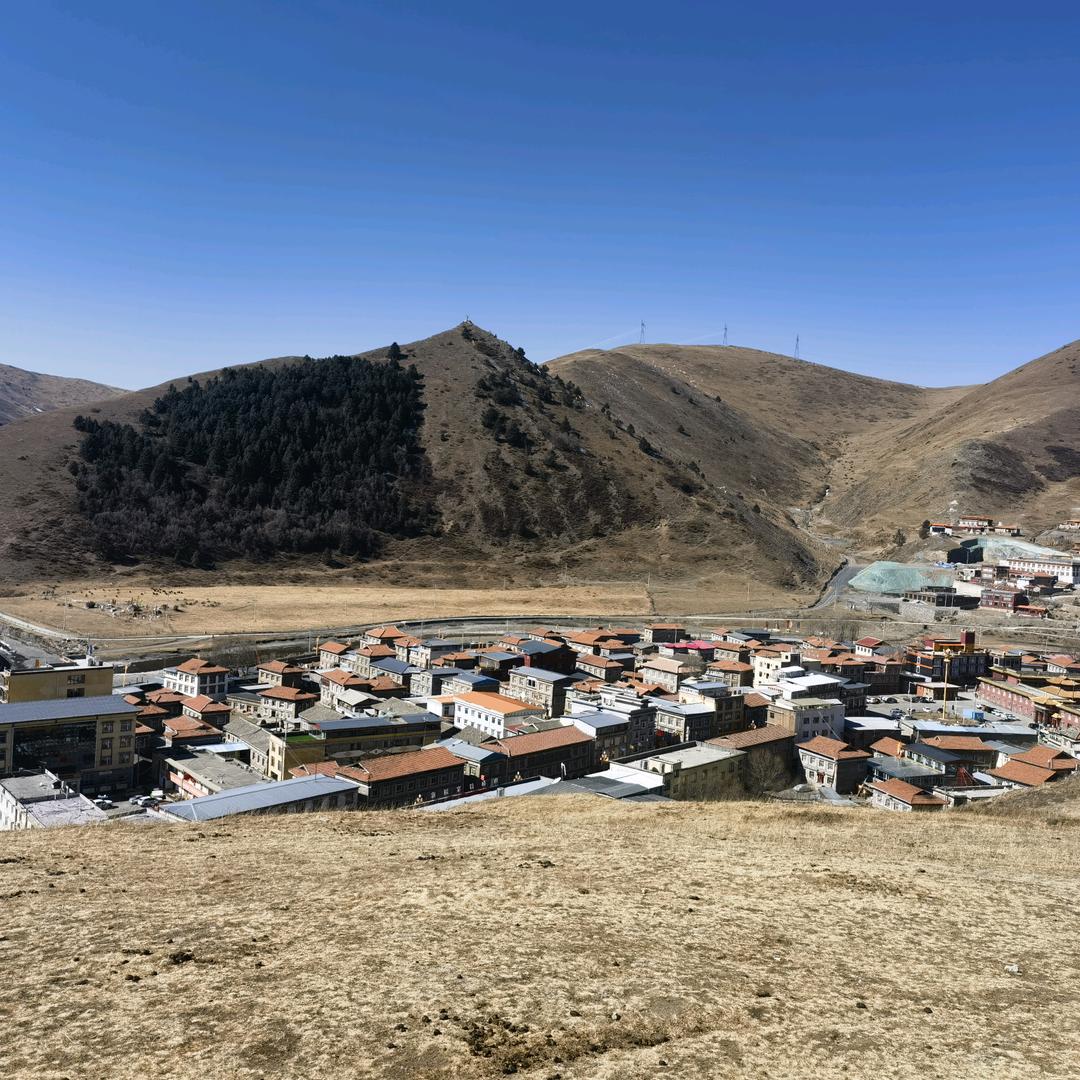 SDC