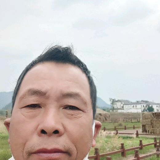 贵州波哥