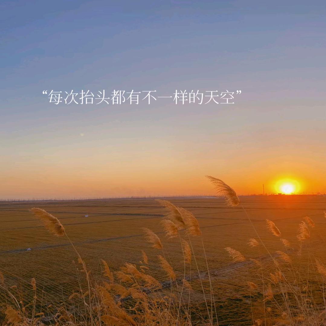 依昂扬$