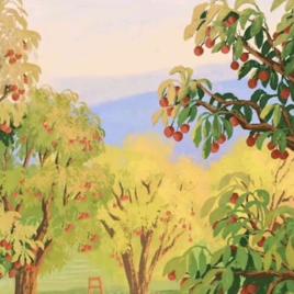 🌈包子bao（如意上岸版）