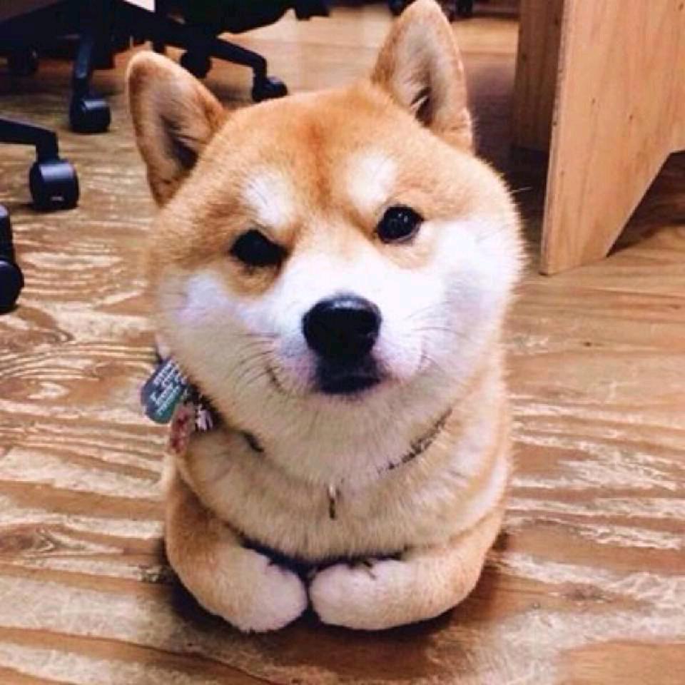 小陈睡不醒