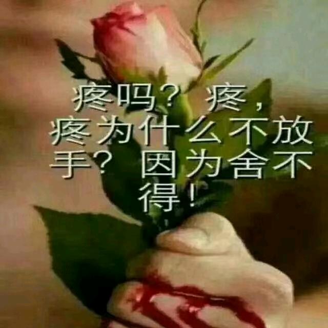 艾哥