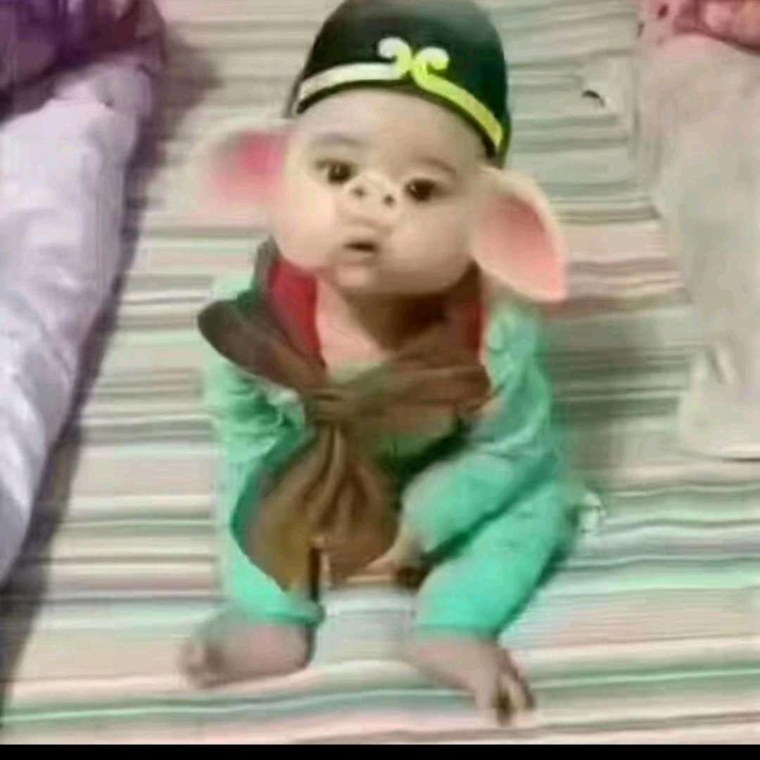 小梁子